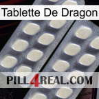 Dragon Tablet 07